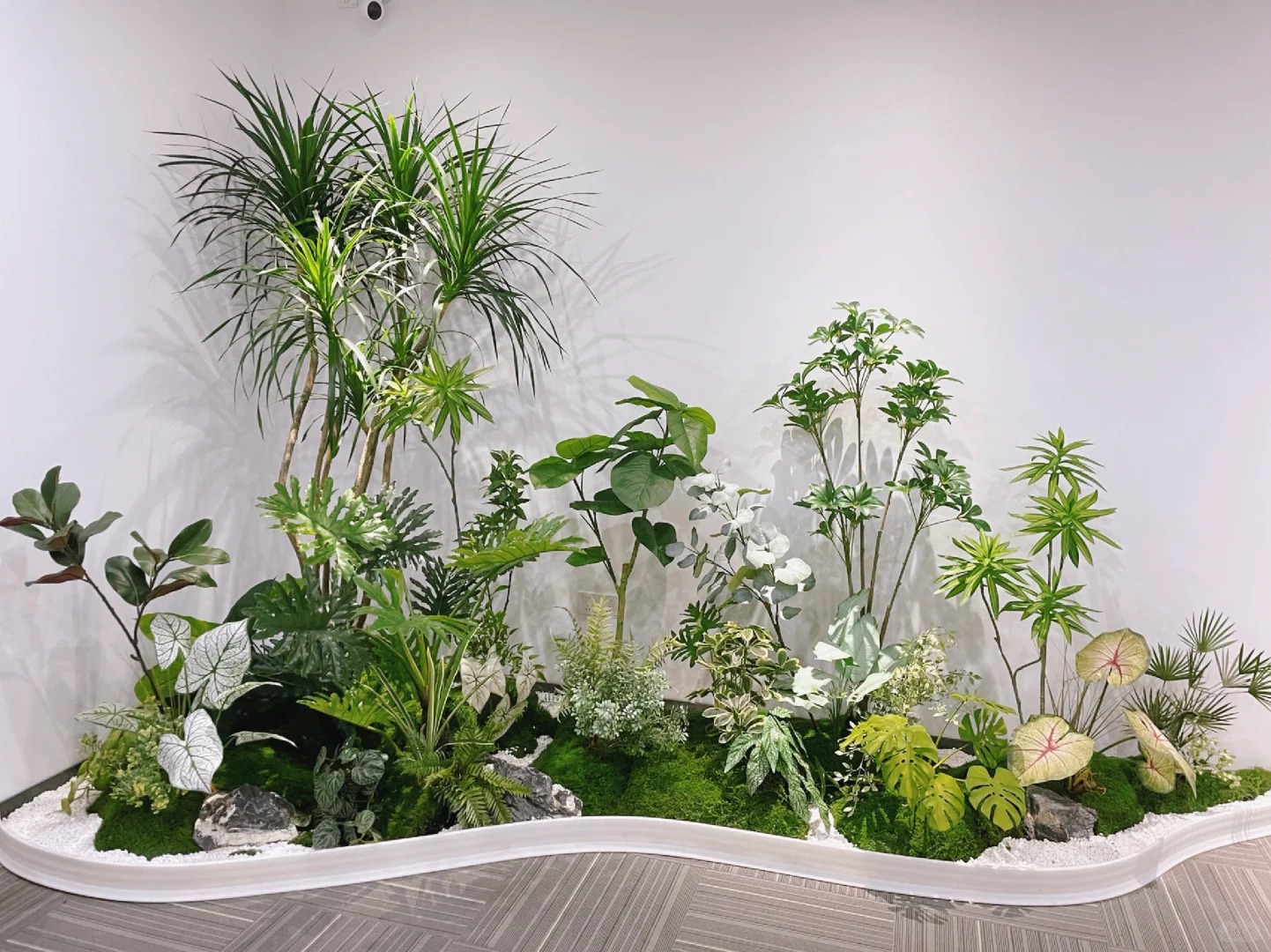 余姚盆景出租，打造独特空间美学